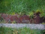 image of grave number 622480